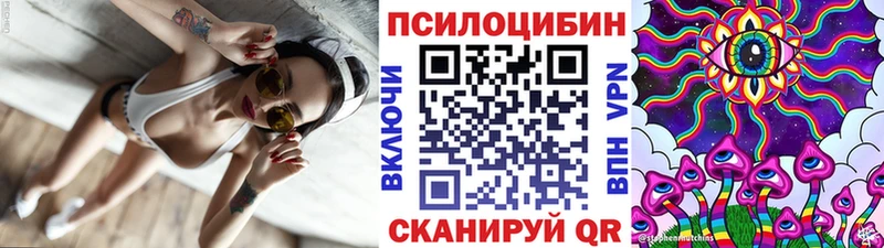 Псилоцибиновые грибы мухоморы  купить наркотики цена  hydra ссылки  Липецк 